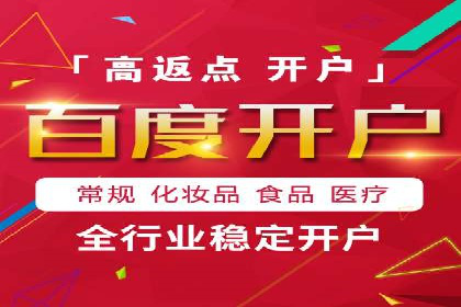 网络推广策略：竞价广告的实践案例